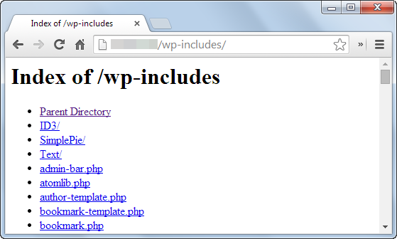 folders like wp-content or wp-includes contain sensitive data