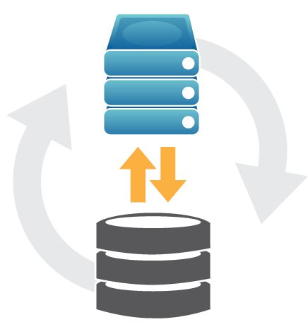  Restore Your Backup