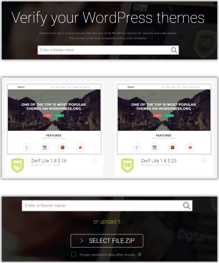  Secure WordPress Theme check