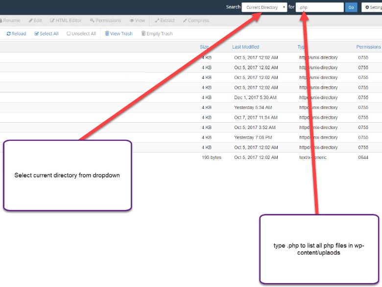  discover-all-php-files-in-uploads-directory