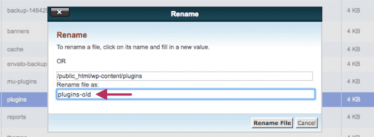 The first thing to do is return to your wp-content folder. This time, you need to rename the Plugins folder.
