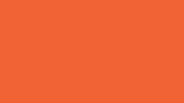 top wordpress themes which are secure too