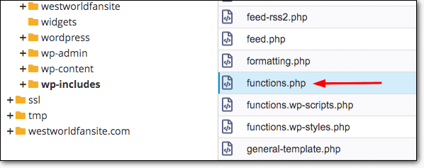 function.php-filezilla