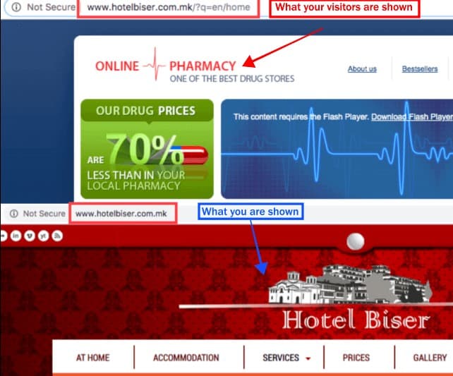 WP Feed Malware