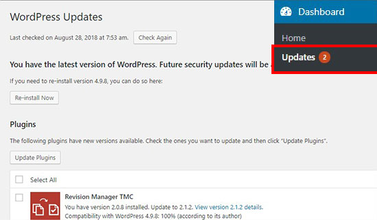 wp updates