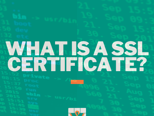 What is an SSL Certificate? Why & When Do You Need It?