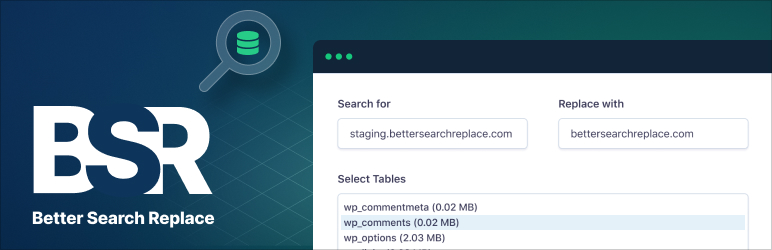 WordPress Better Search Replace Plugin